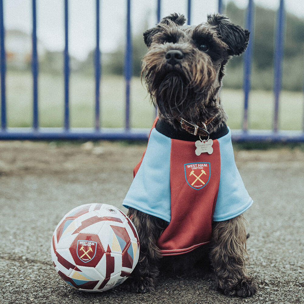Personalized West Ham Dog Shirts