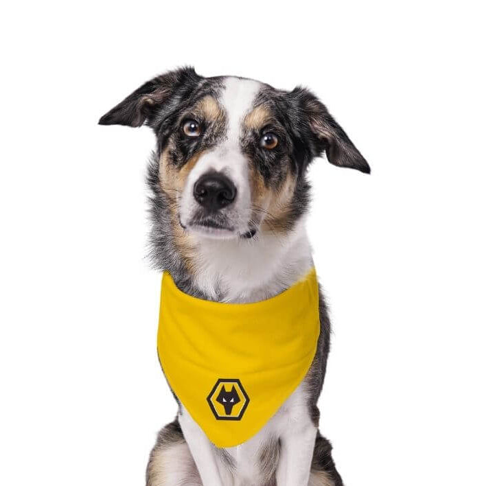 Wolves Dog Bandana