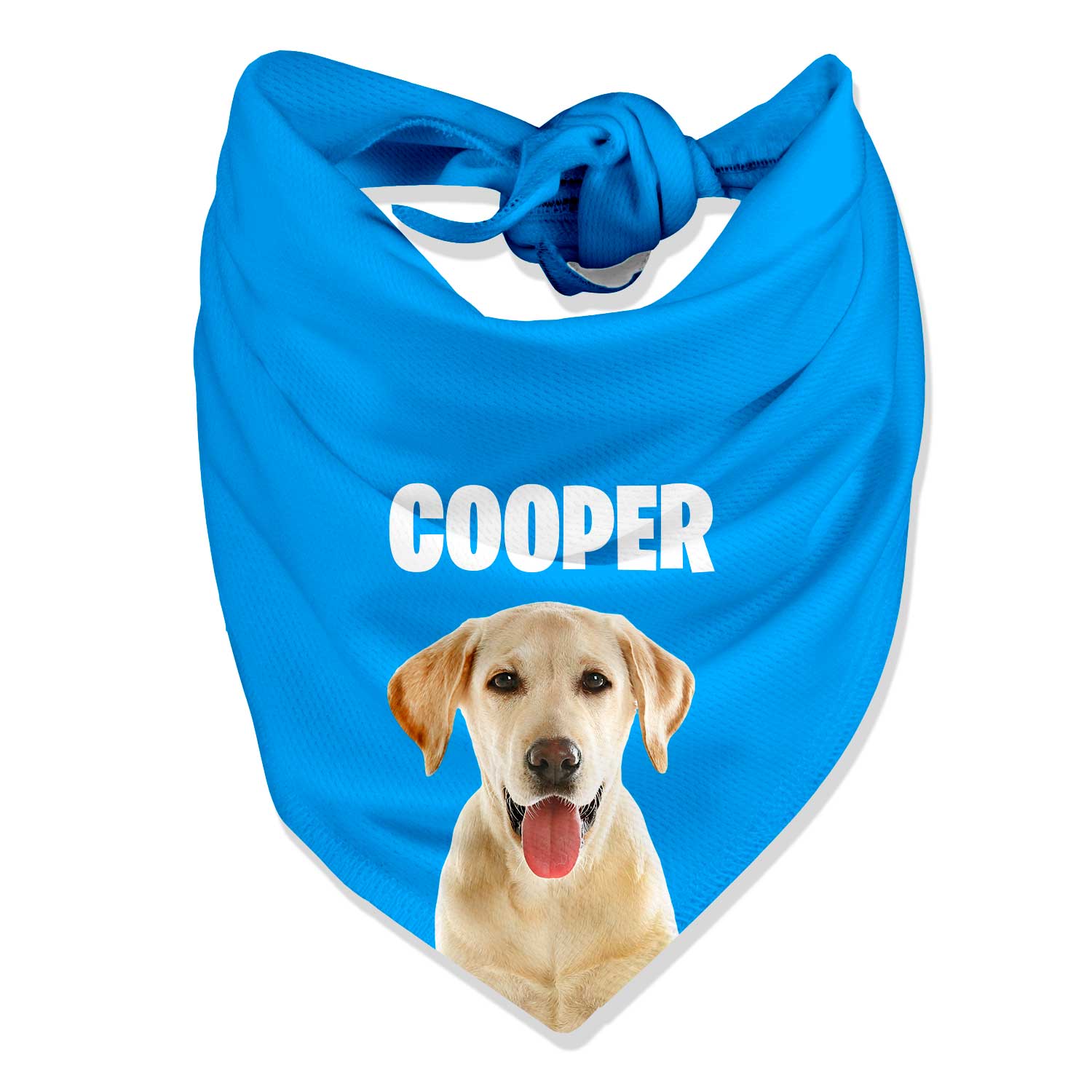 Your Dog Name Personalized Bandana