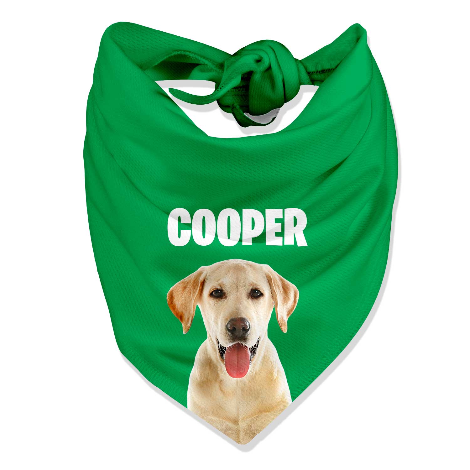 Your Dog Name Personalized Bandana