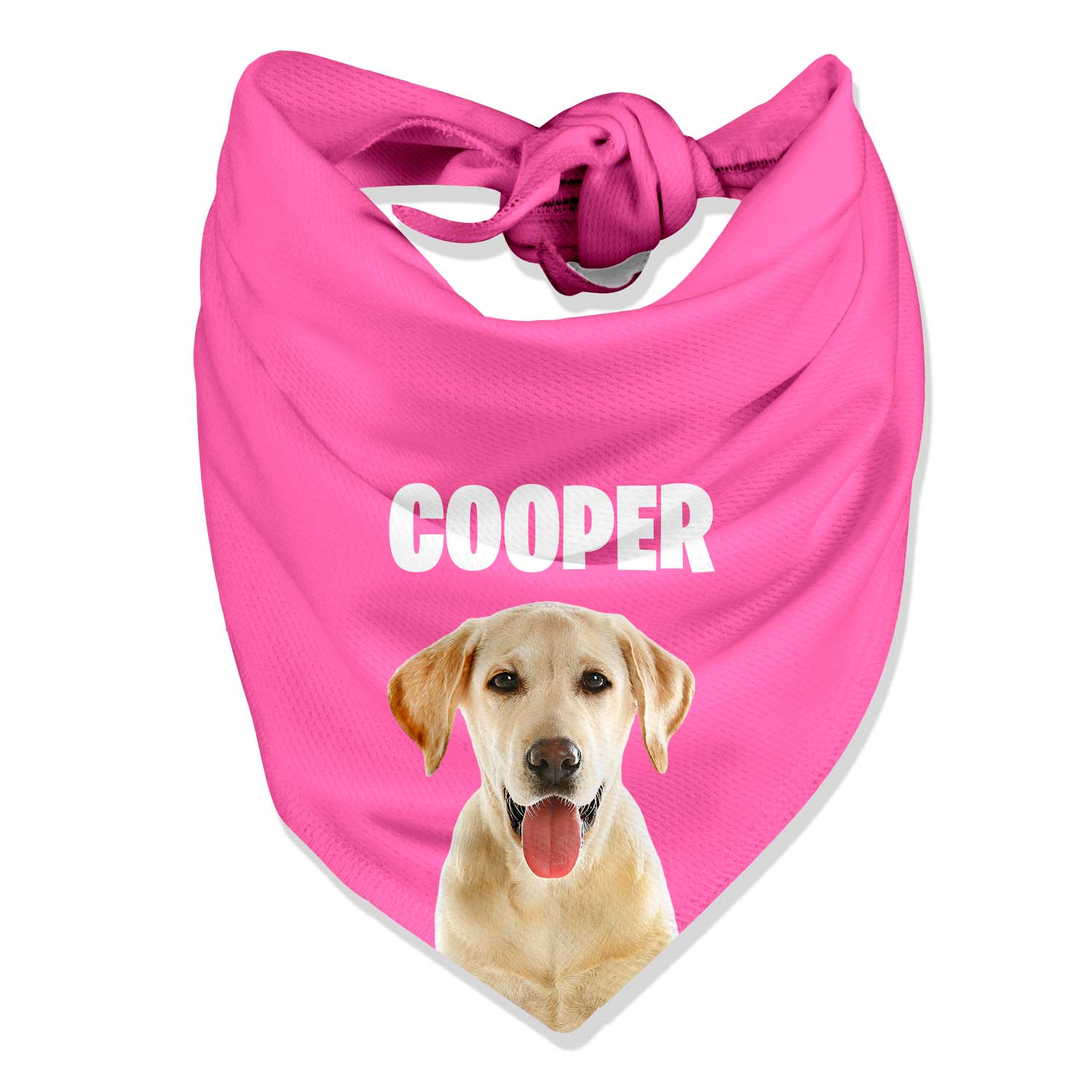 Your Dog Name Personalized Bandana