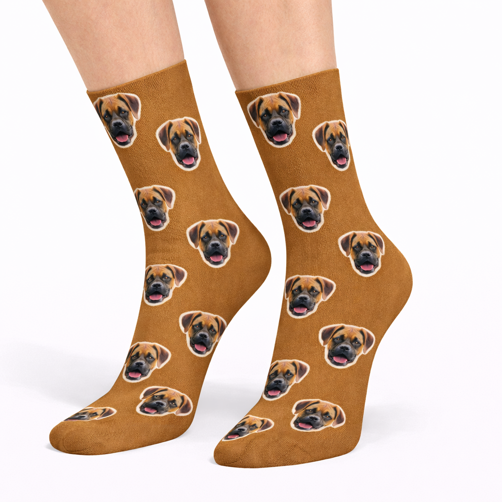 Your Dog on Socks