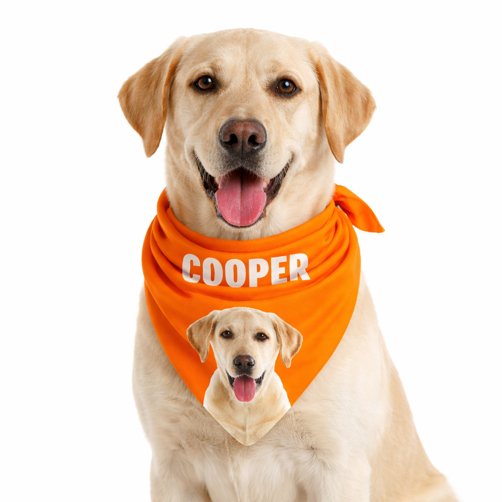 Your Dog Name Personalized Bandana