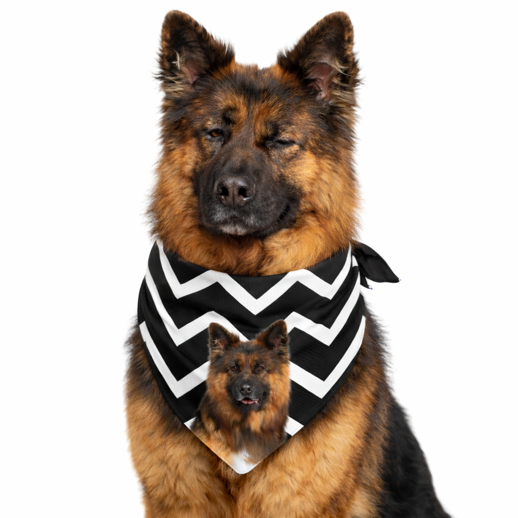 Zigzag Personalized Dog Bandana