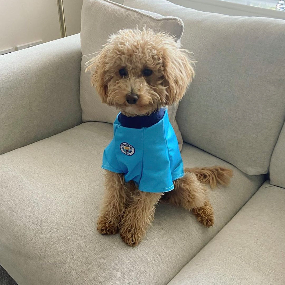 Personalized Man City Dog Shirt