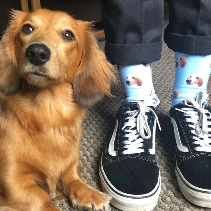 Pattern Dog Socks