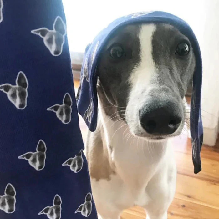 Pattern Dog Socks