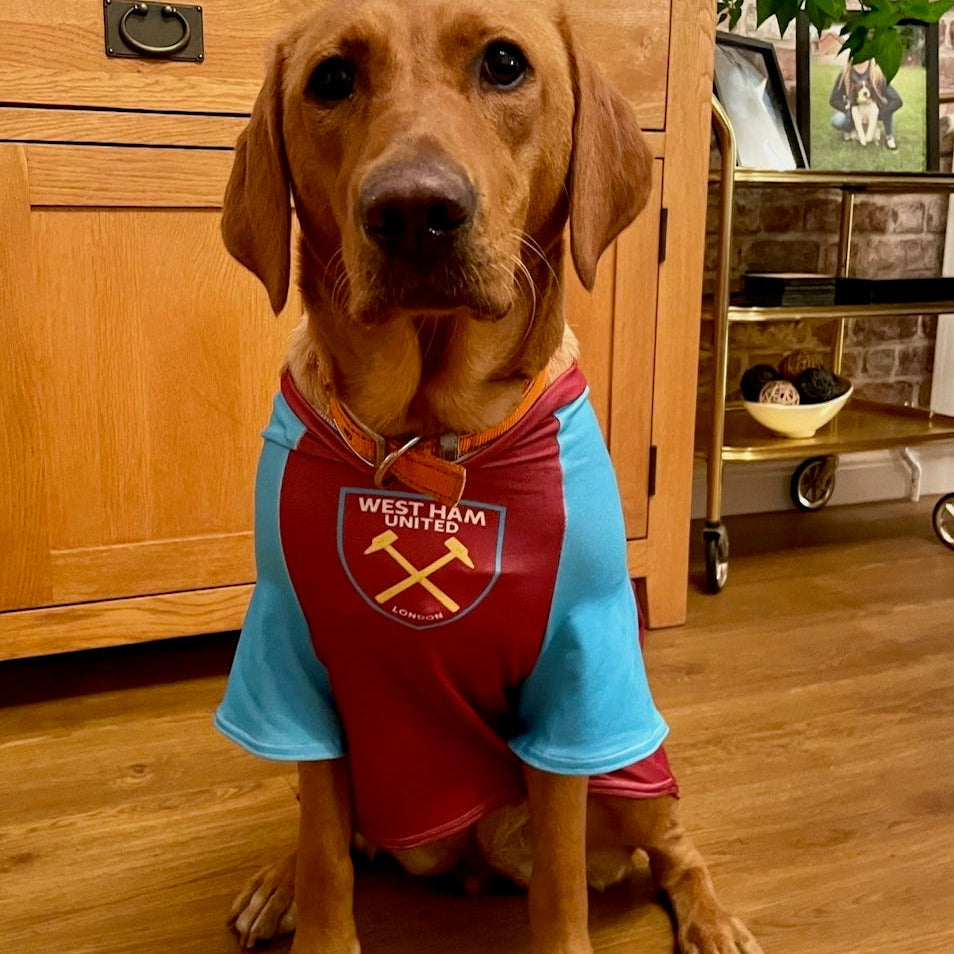 Personalized West Ham Dog Shirt