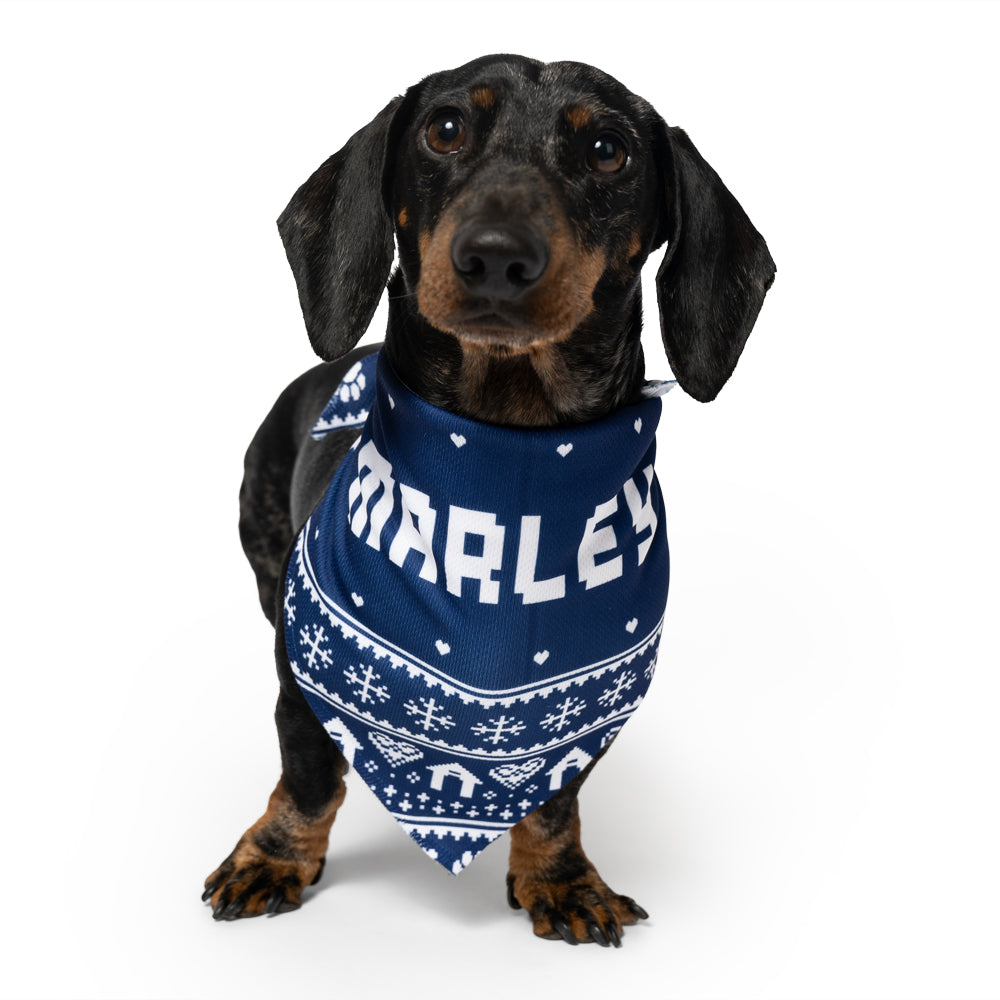 Nordic Personalized Name Dog Bandana