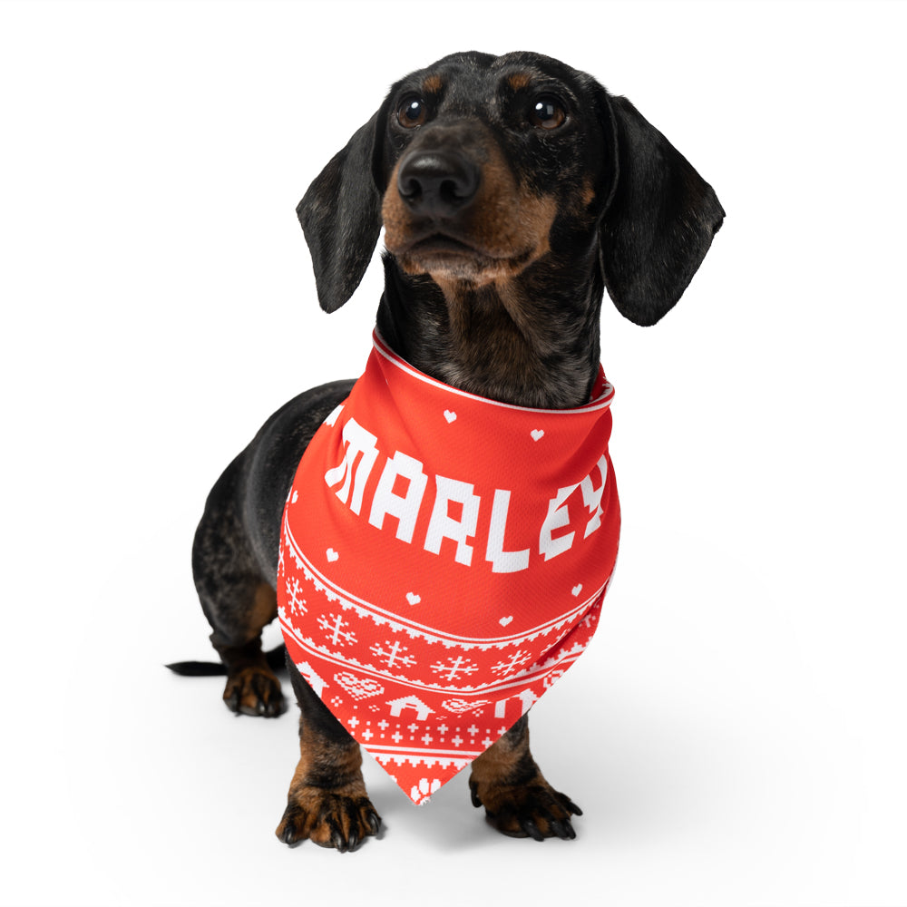 Nordic Personalized Name Dog Bandana