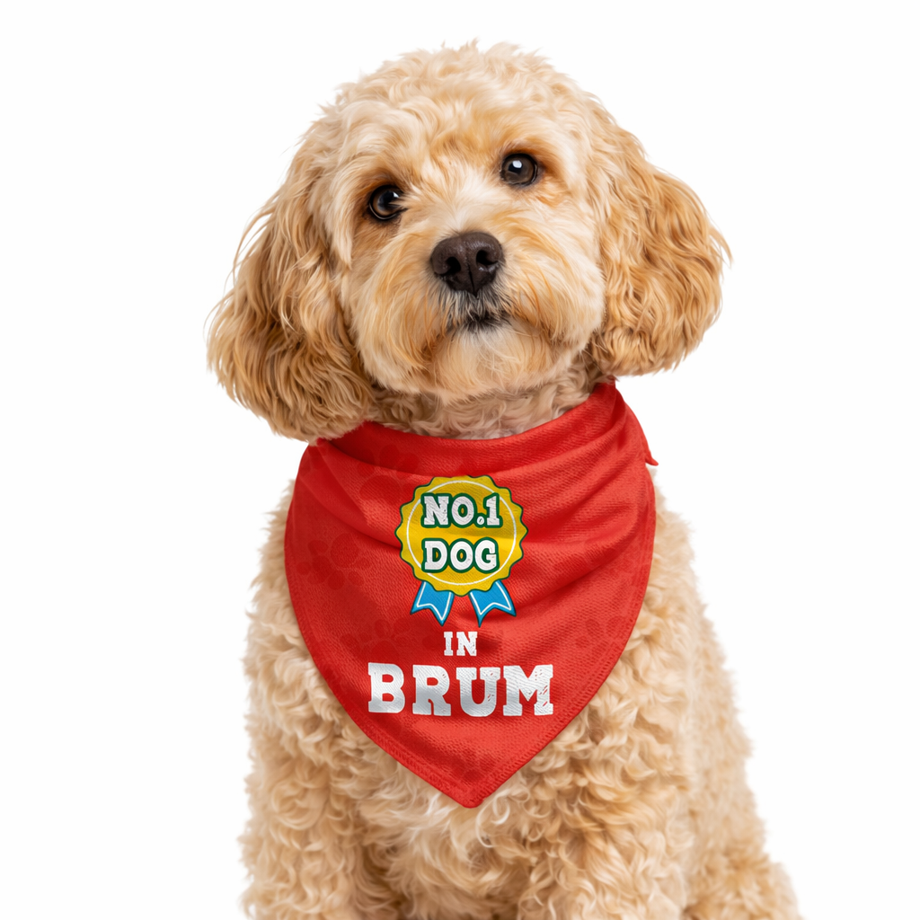 No 1 Dog in (Place Name) Personalized Bandana