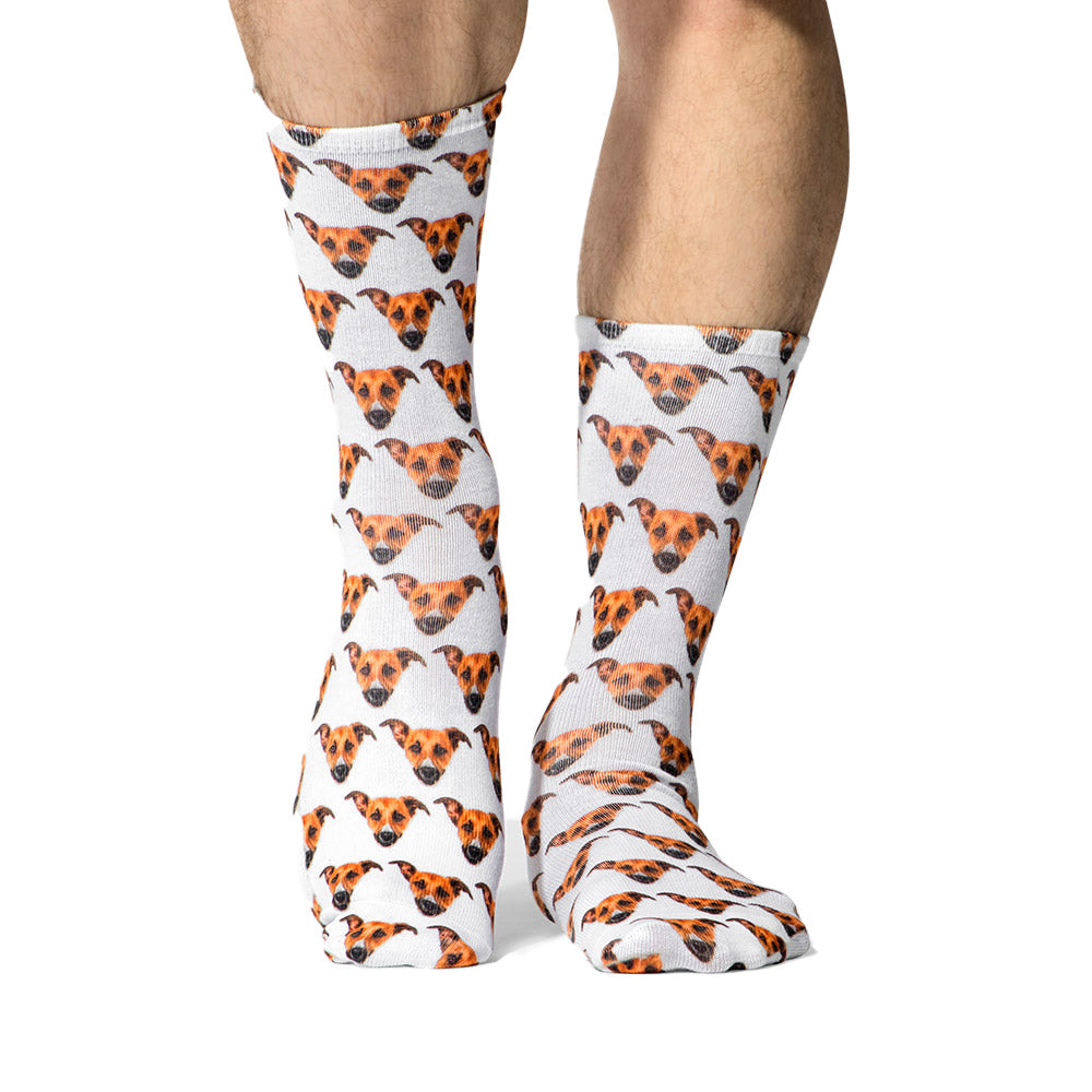 Pattern Dog Socks