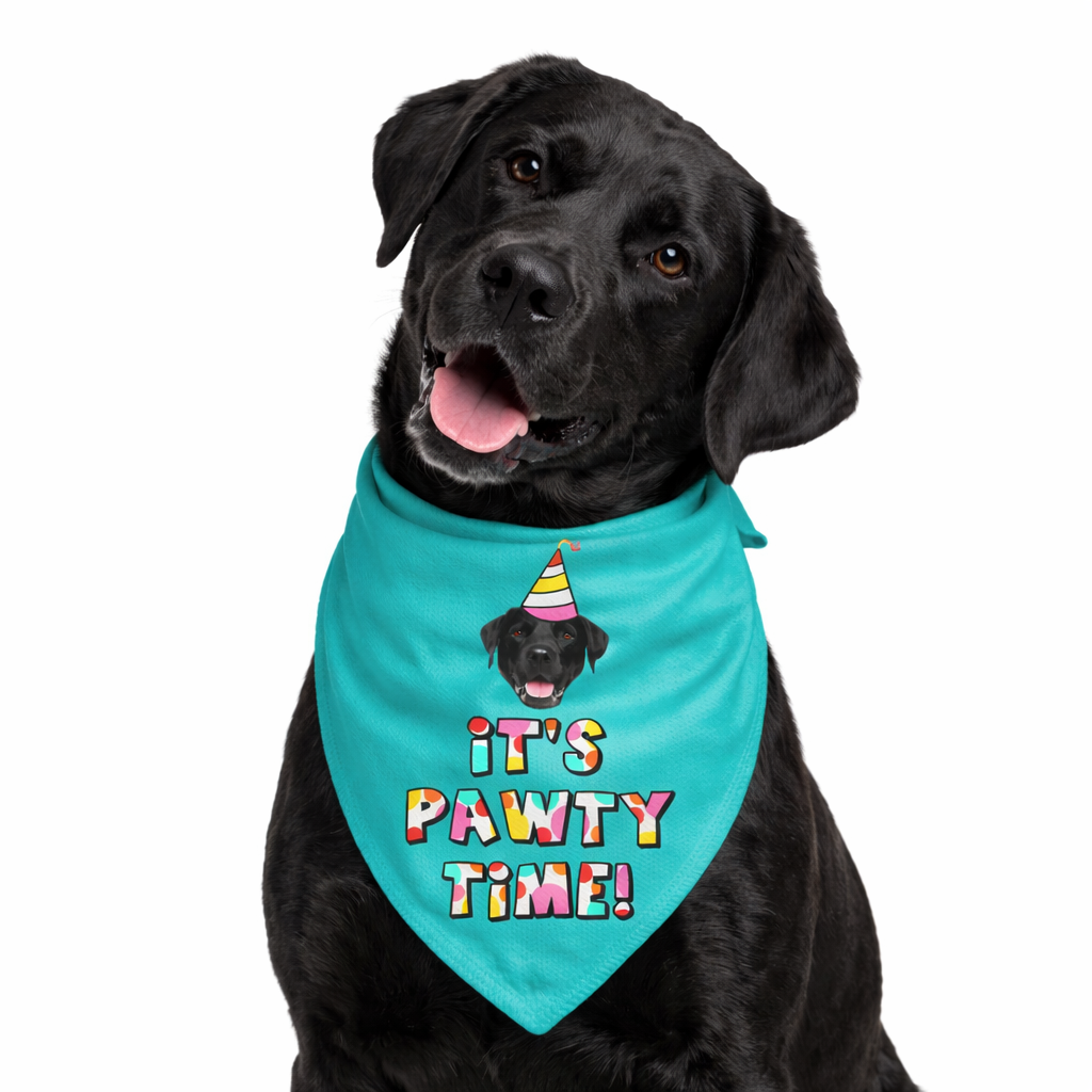 It's Pawty Time Personalized Dog Bandana