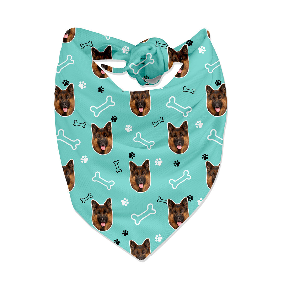 Turquoise Dogsy x Dogs Trust Bandana