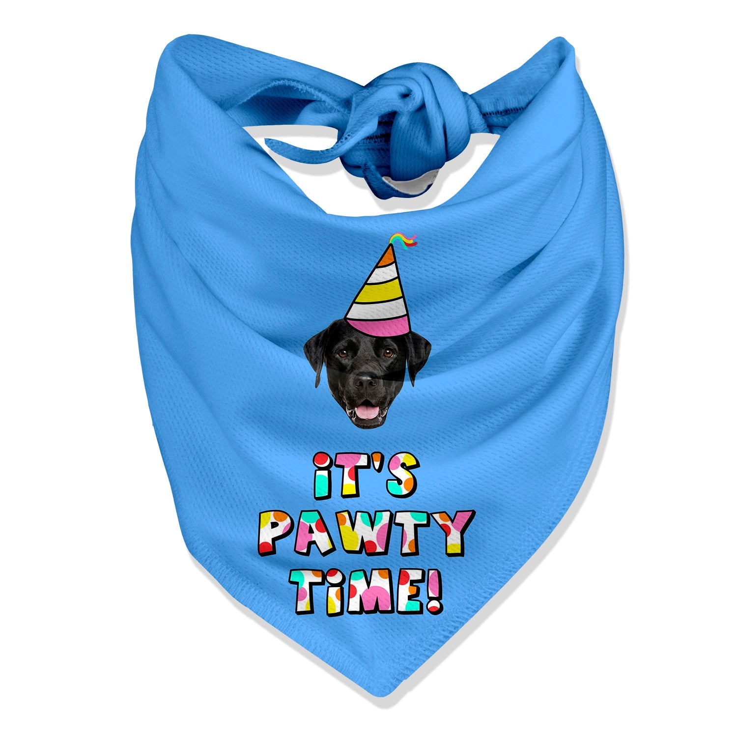 It's Pawty Time