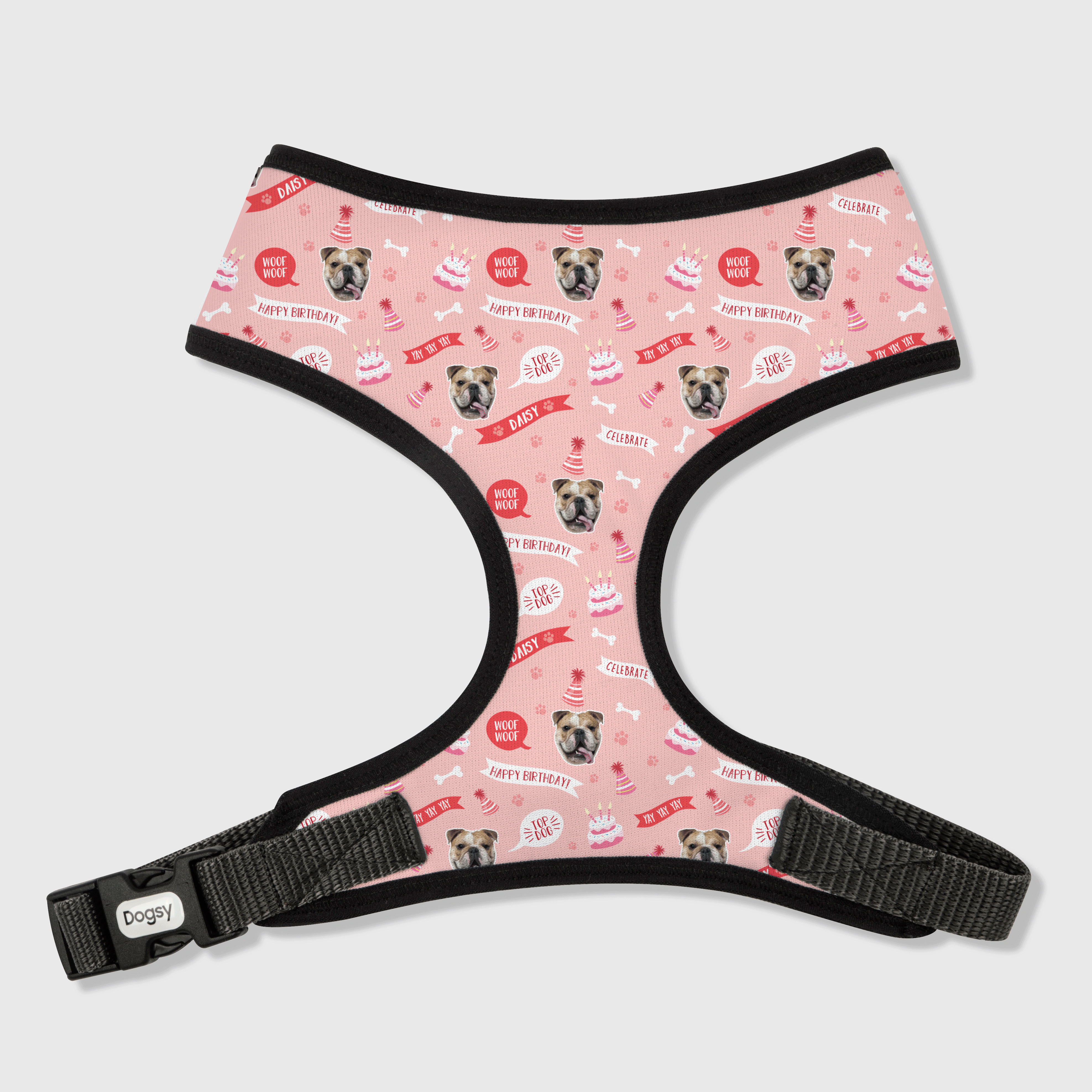 Happy Birthday Dog Harness With Photo On