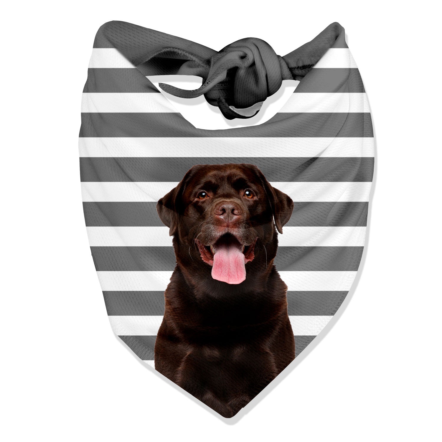 The Dogsy Stripe Bandana