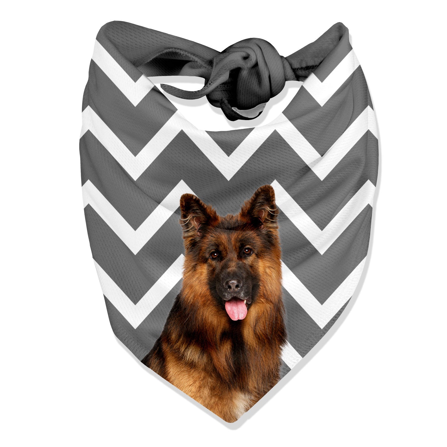 The Dogsy Zigzag Bandana