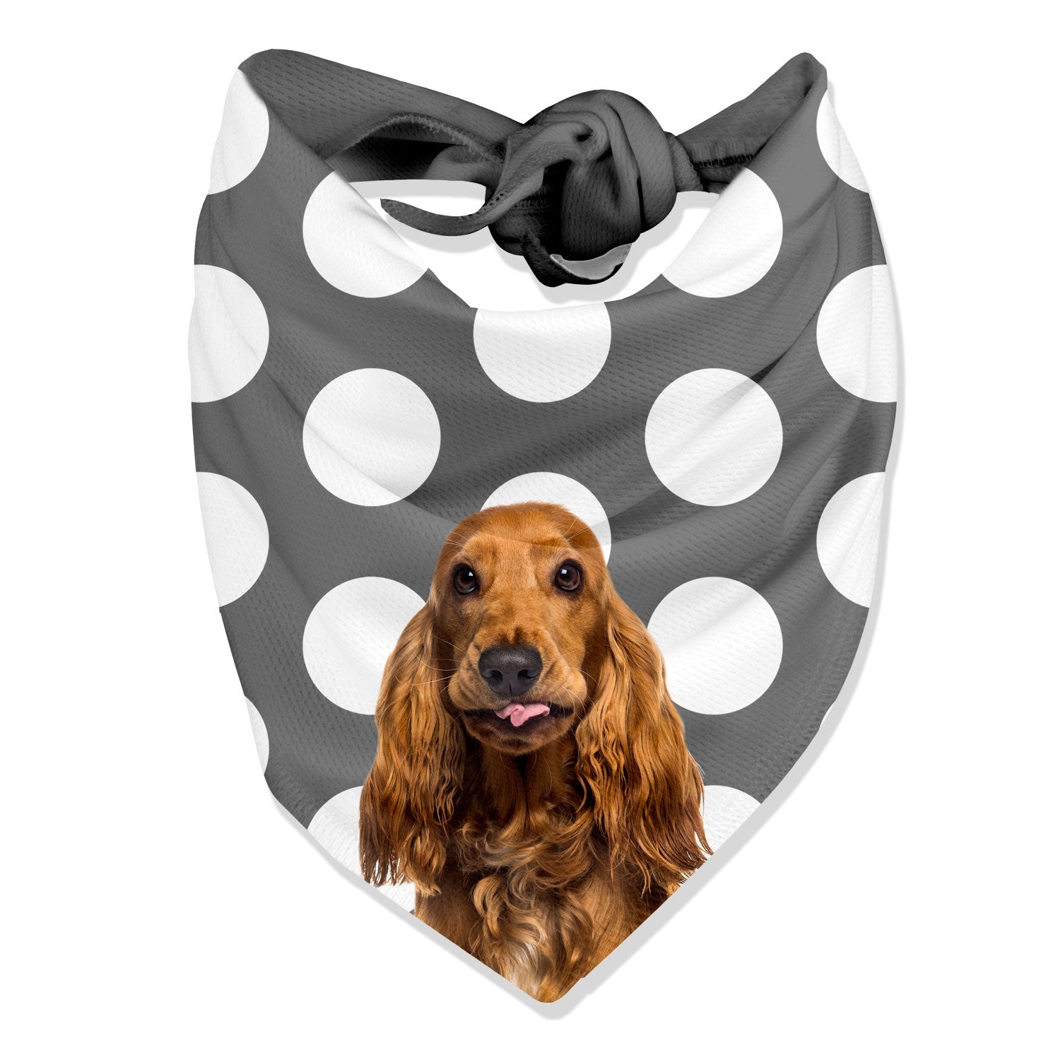 The Dogsy Spotty Bandana