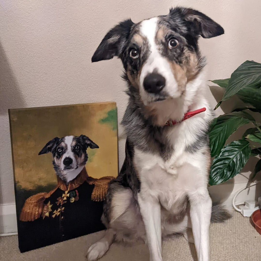 Dog General Portrait Canvas
