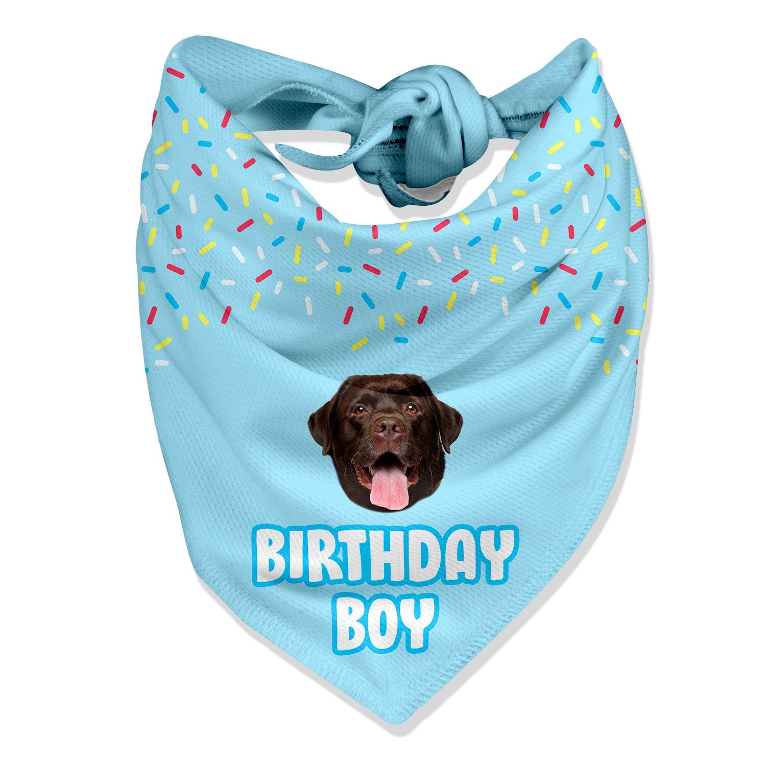 Birthday Boy Bandana