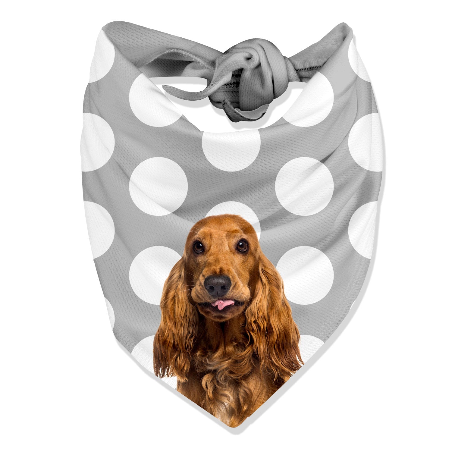 The Dogsy Spotty Bandana