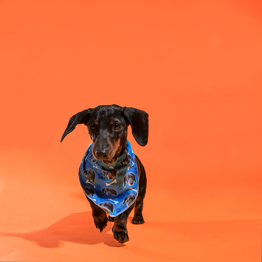 The Dogsy Personalised Bandana