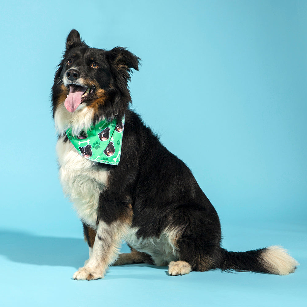 Personalised Dog Bandana