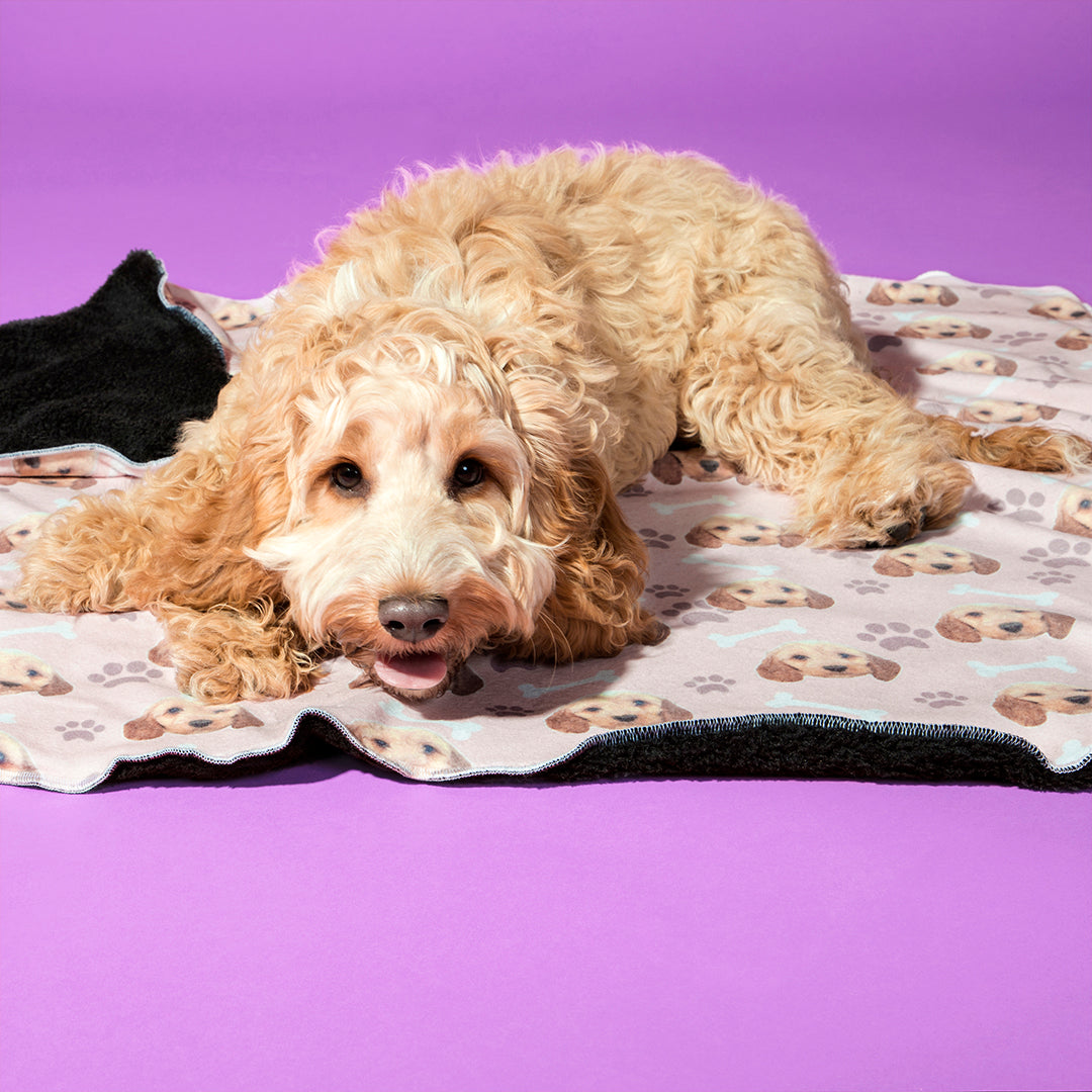 Dog Face Blanket