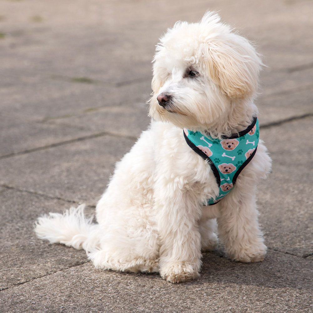 Custom Photo Dog Harness