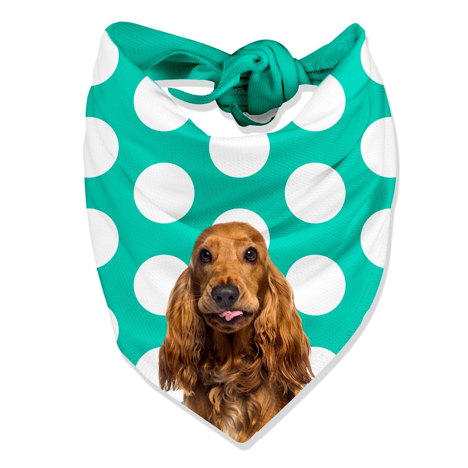 The Dogsy Spotty Bandana