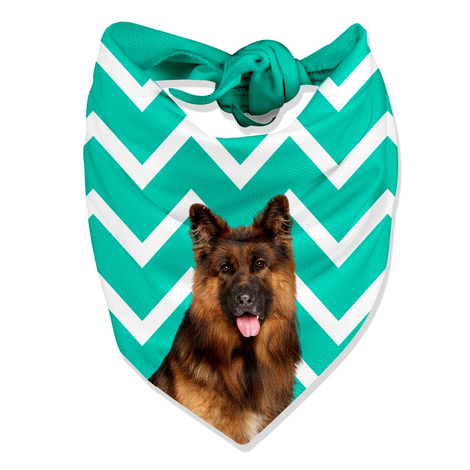 The Dogsy Zigzag Bandana