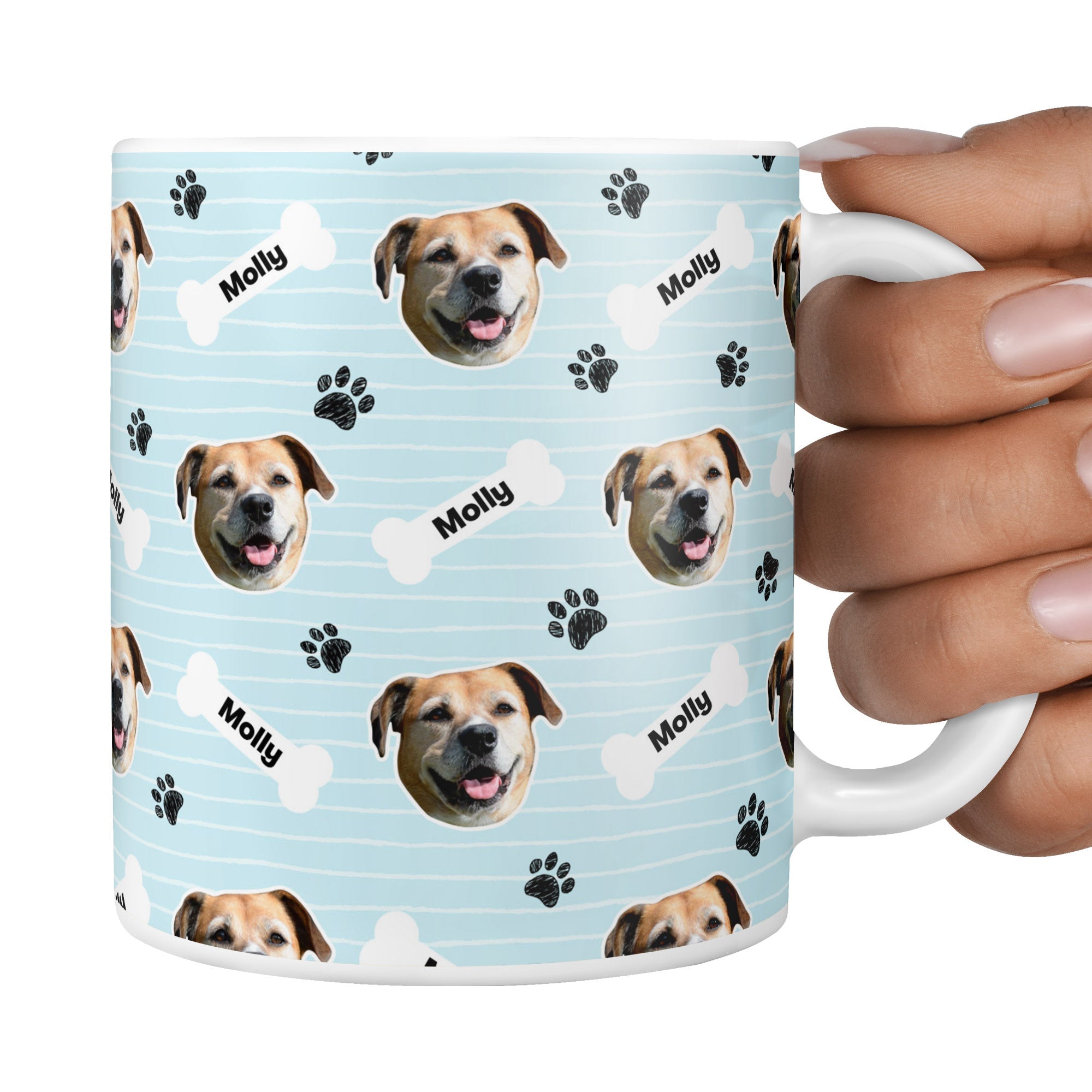 Baby Blue Molly Sponsors Name Mug