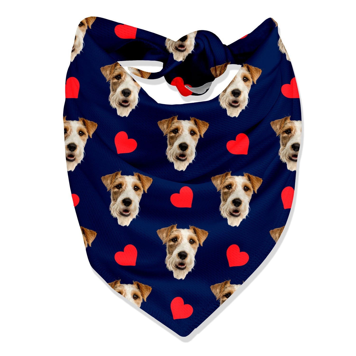 Dog Hearts Bandana