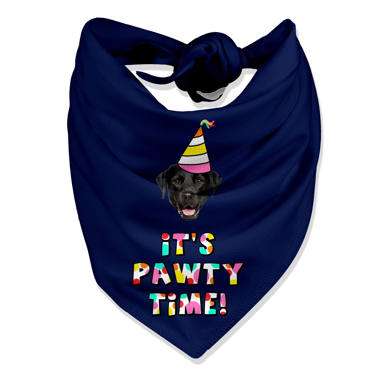 It's Pawty Time