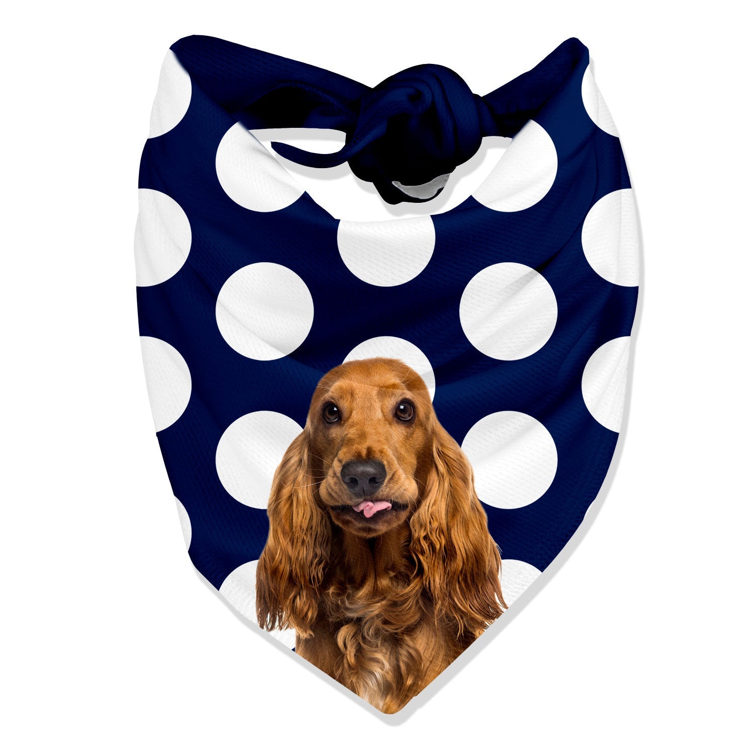 The Dogsy Spotty Bandana
