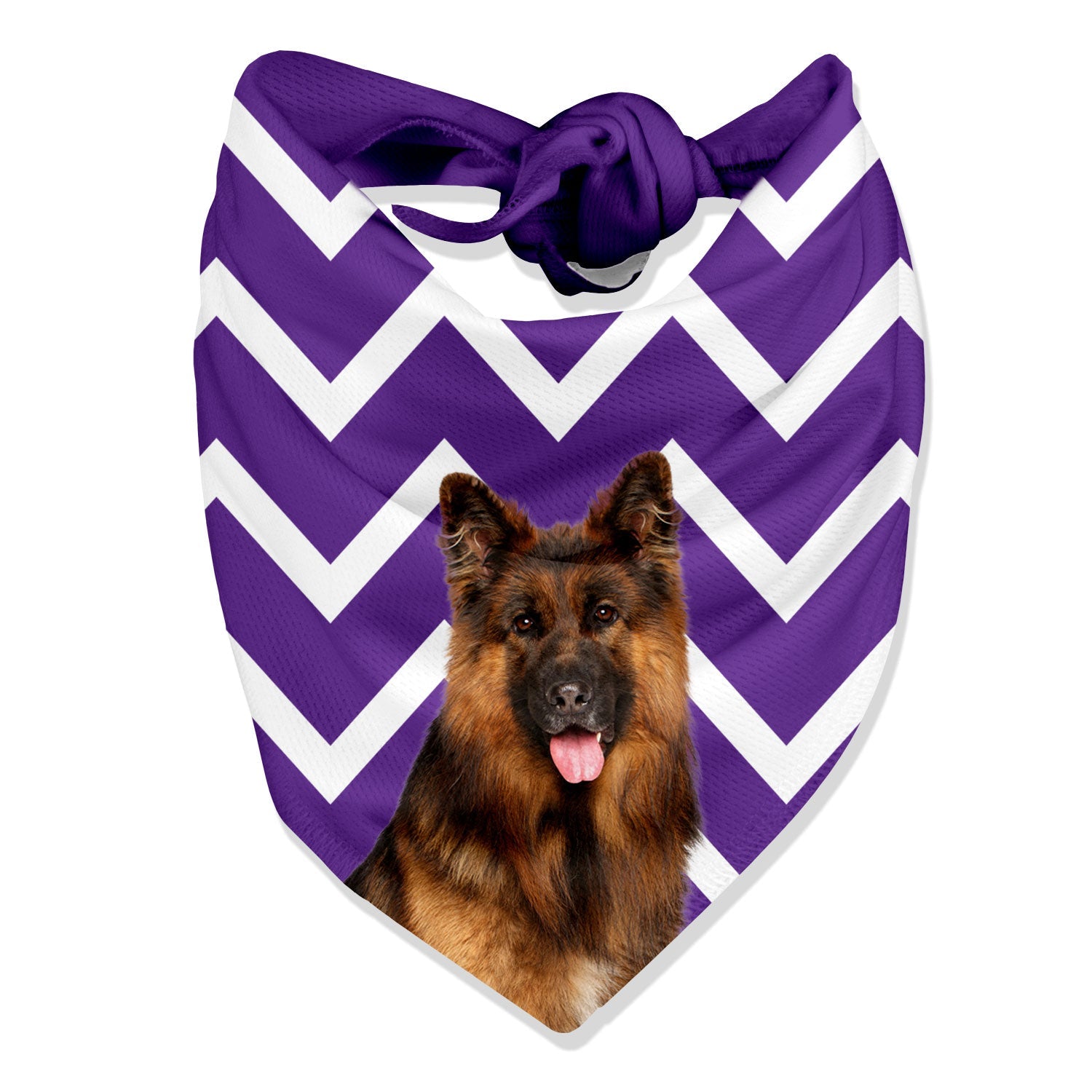 The Dogsy Zigzag Bandana