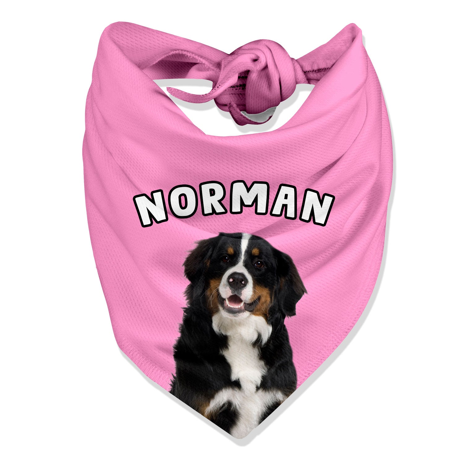 Dog Name Bandana