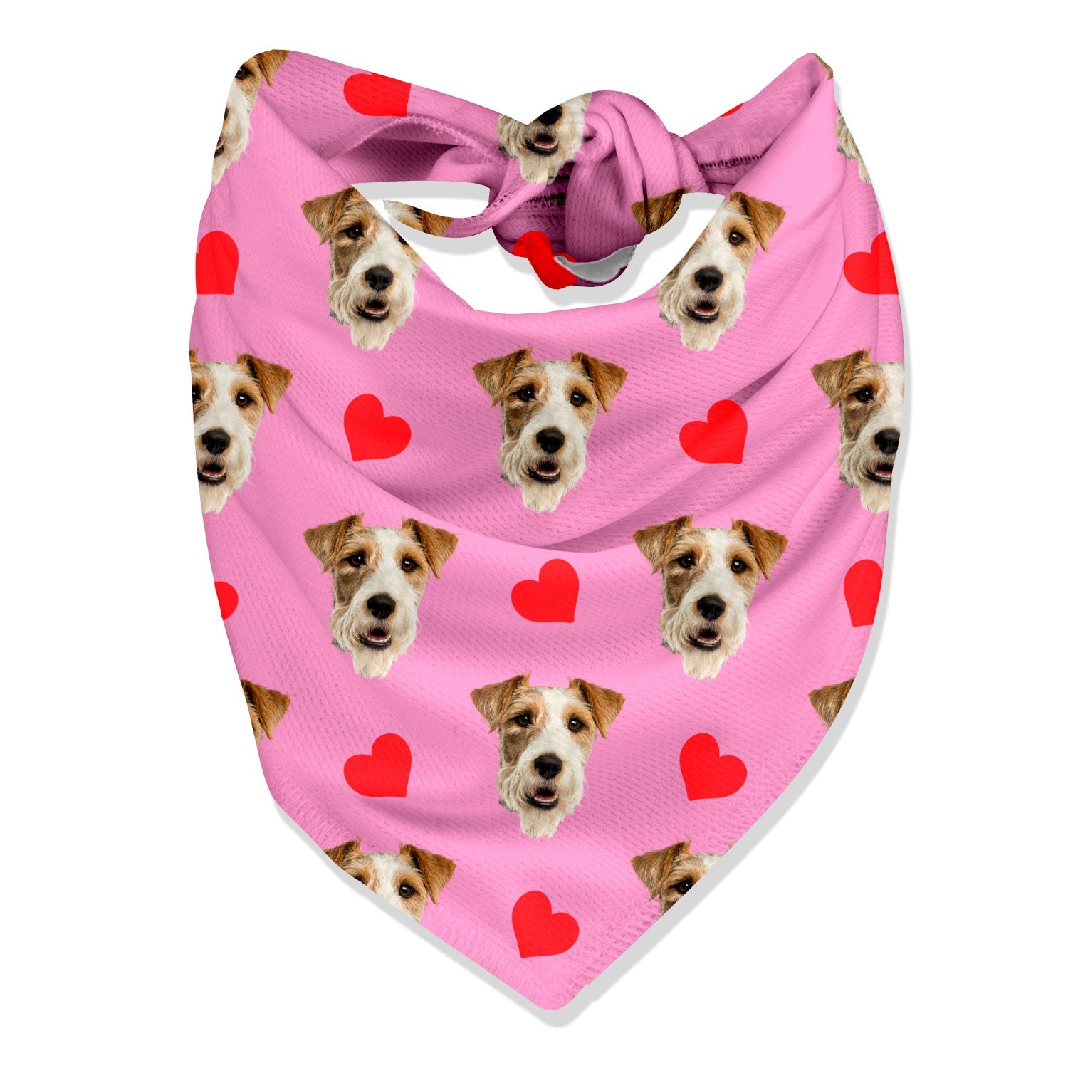 Dog Hearts Bandana