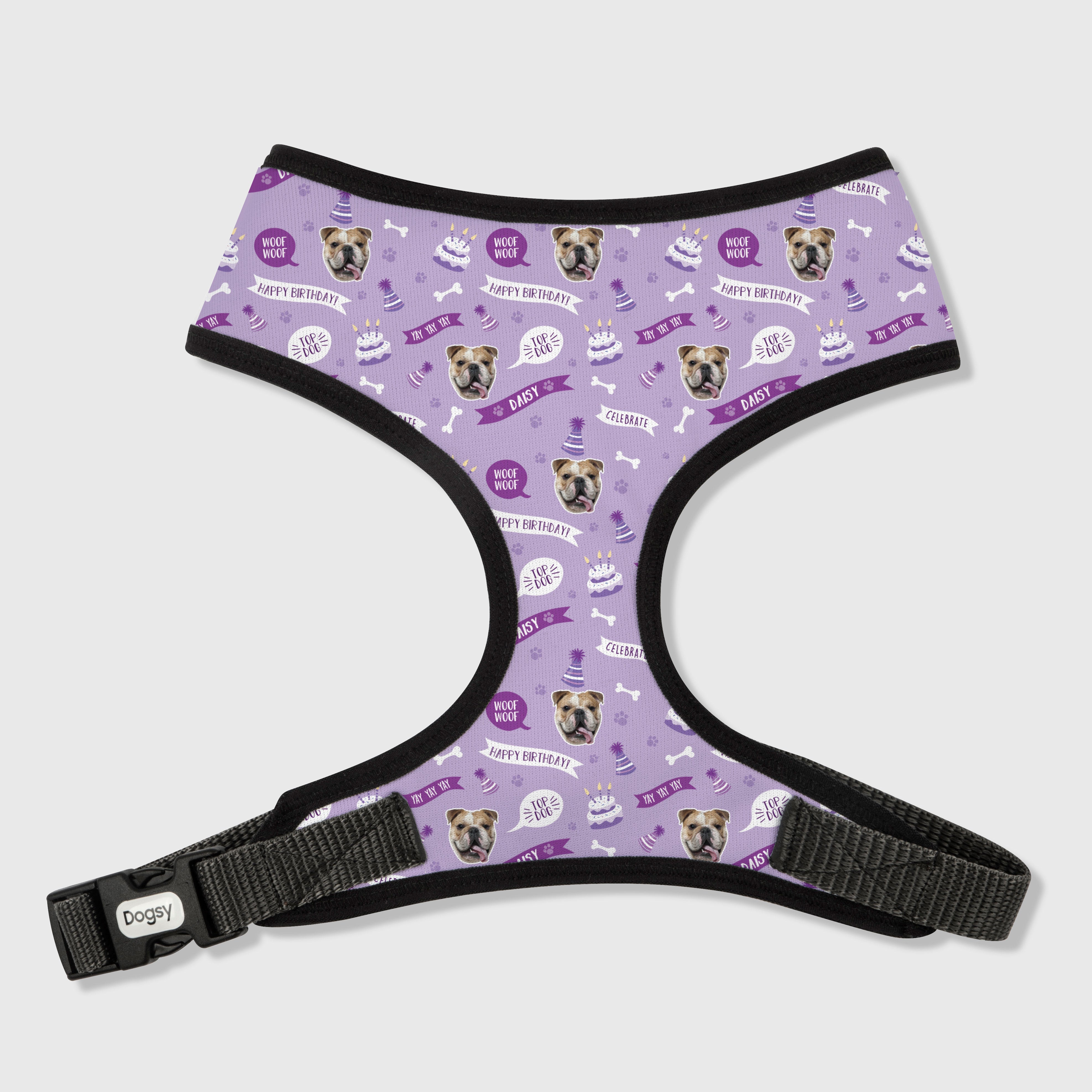 Happy Birthday Dog Photo Harness