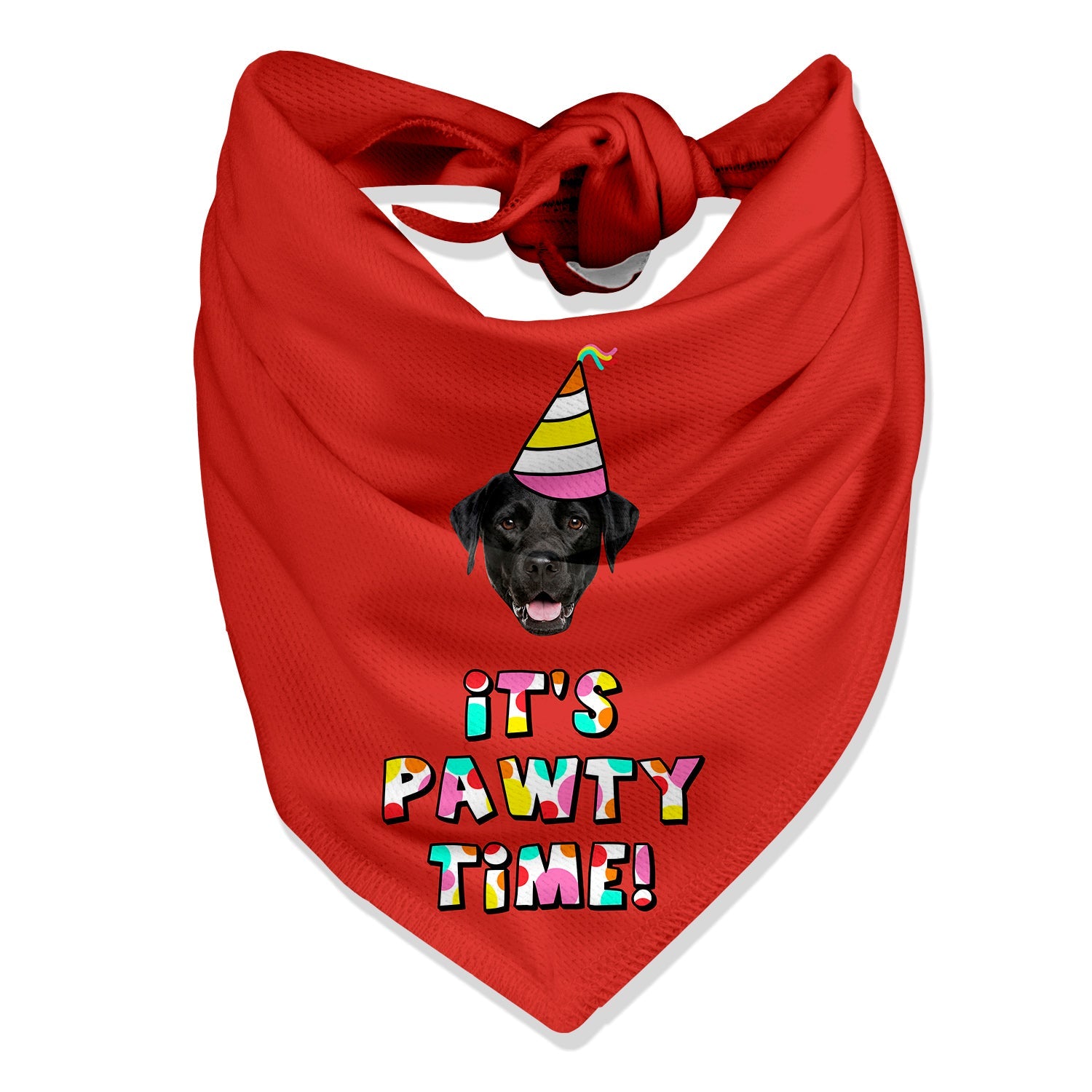 It's Pawty Time