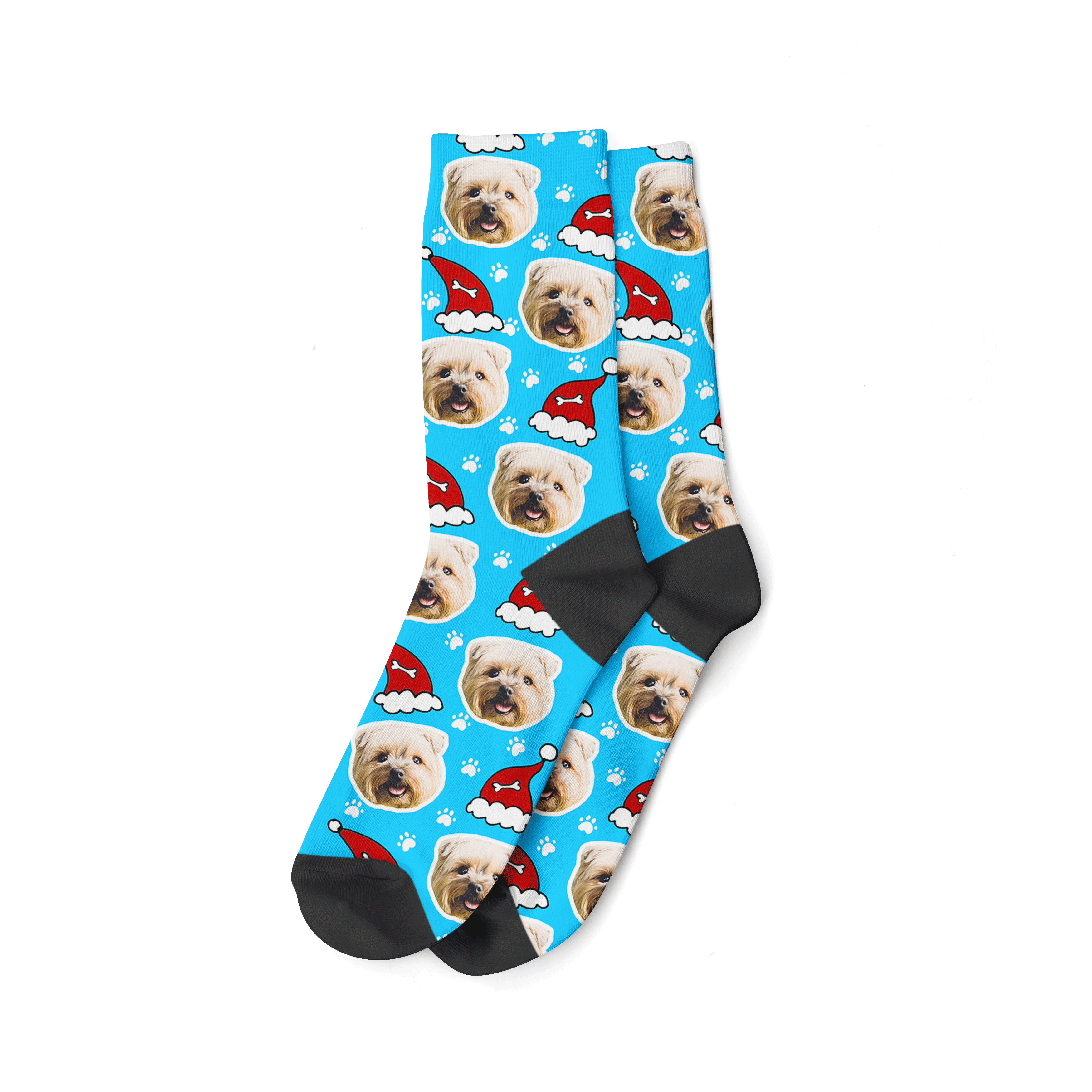 Blue Santa Dog Christmas Socks