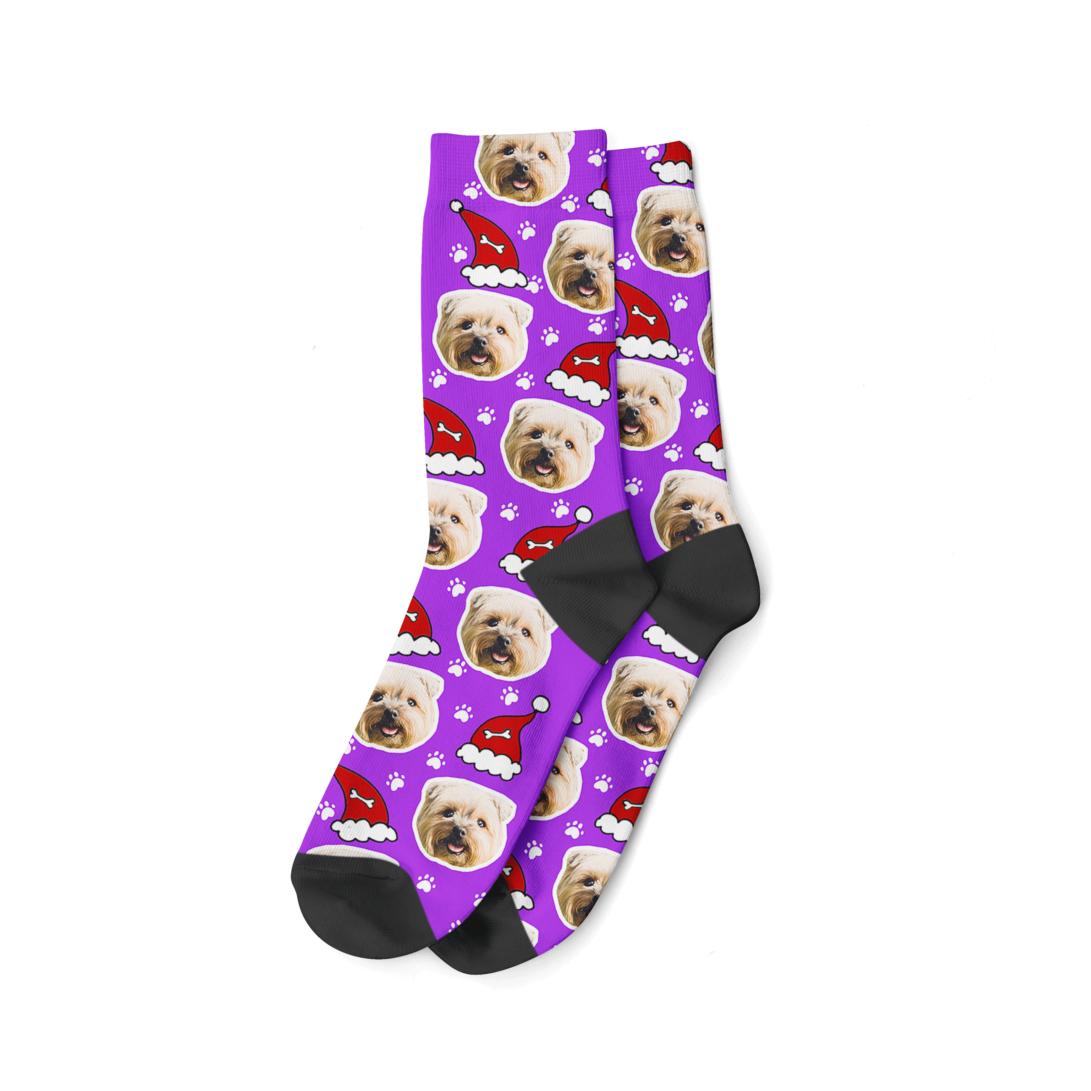 Purple Santa Dog Christmas Socks