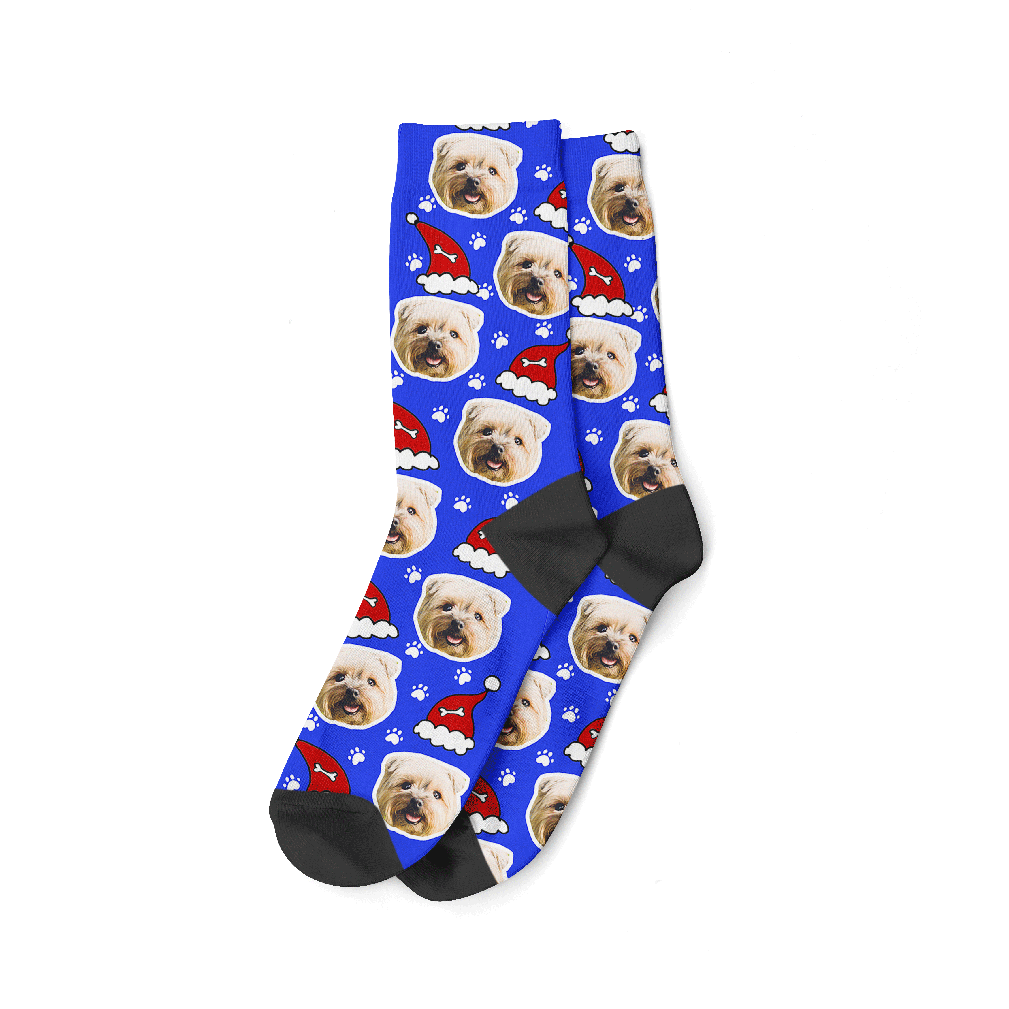 Royal Blue Santa Dog Christmas Socks