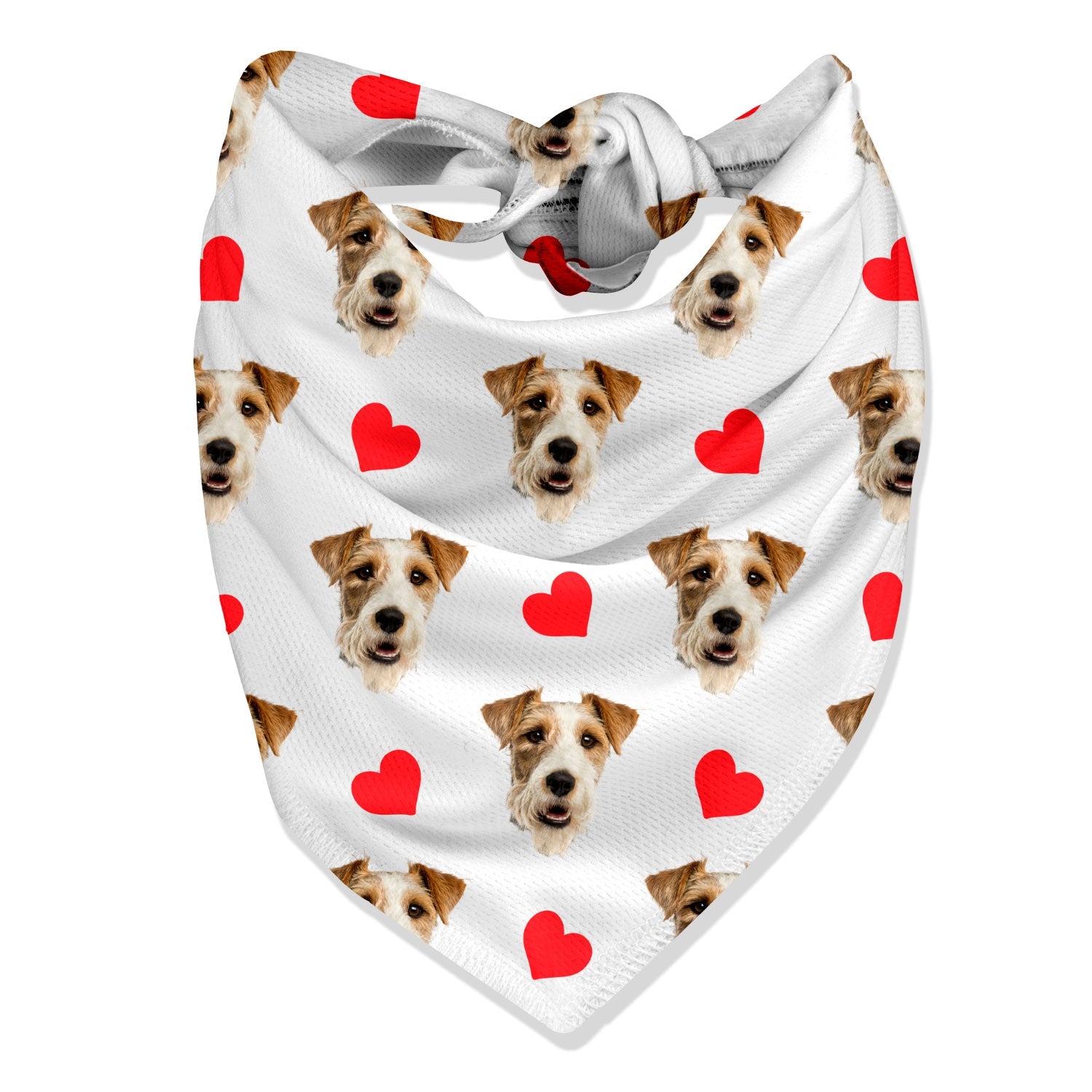 Dog Hearts Bandana