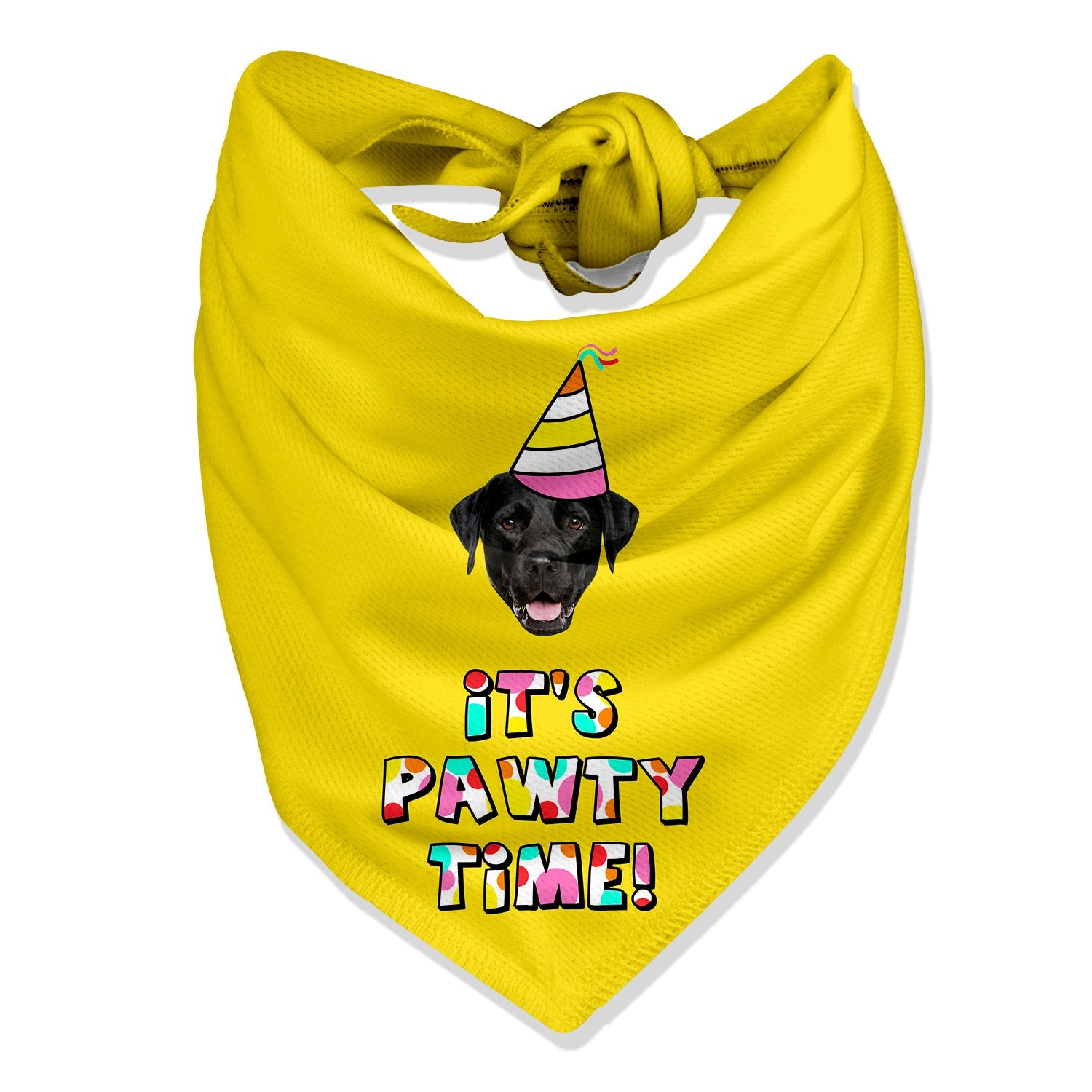 It's Pawty Time