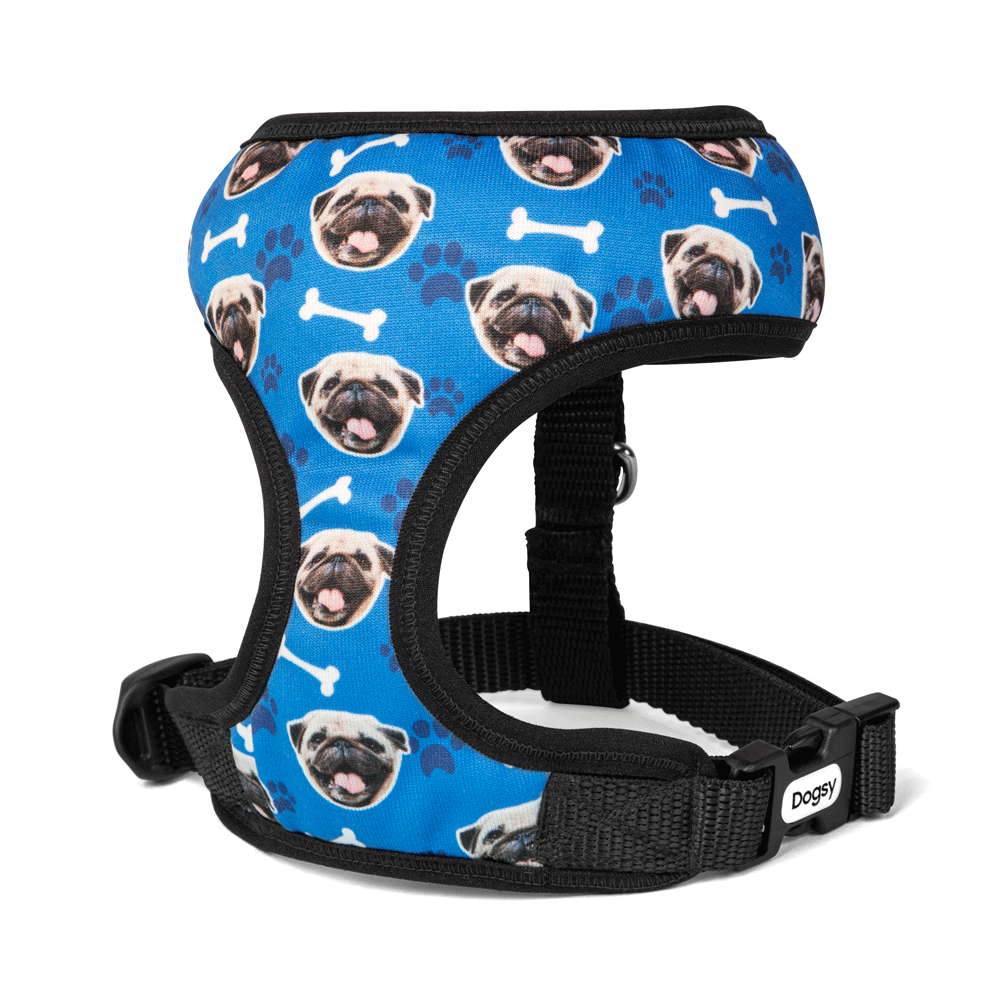 My Dogs Photo On A Harness