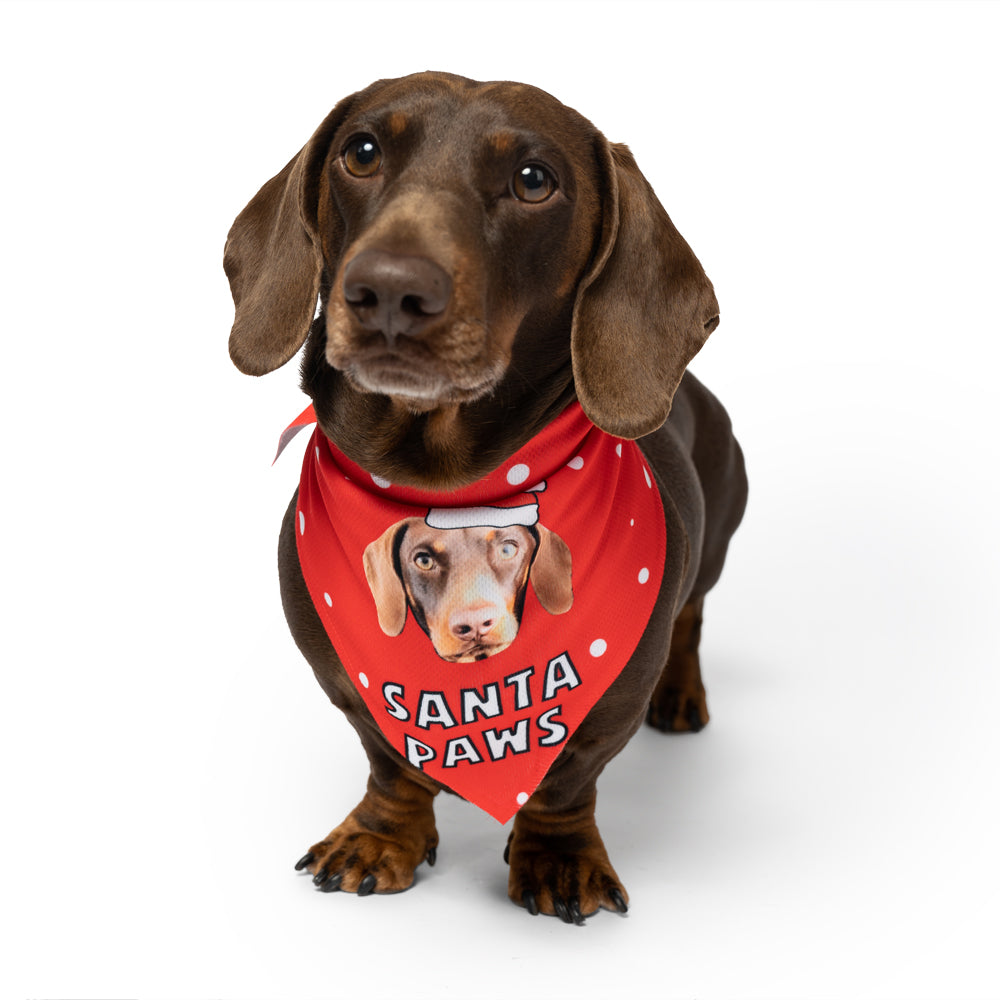 Santa Paws Bandana