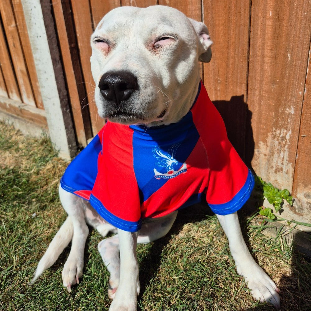 Crystal Palace Personalized Dog Shirt