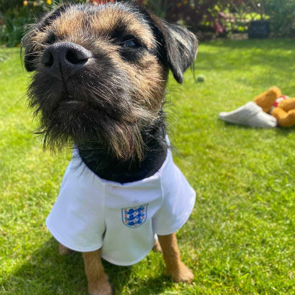 England Dog Shirt